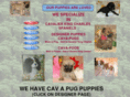 ourpuppiesareloved.com