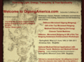 qigongamerica.com