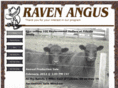 ravenangus.com