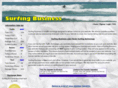 surfingbusiness.com