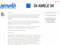 amelebirligi.com