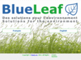 blue-leaf.ca