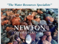 newtonconsultants.com