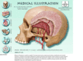 anatomicalillustrator.com