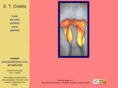 etcolettapainter.com