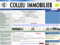 colleu-immobilier-orsay.com