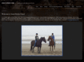 greatstridesfarm.com