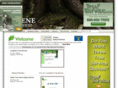 eugenetreeservices.com