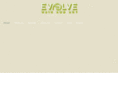 evolvehairandart.com