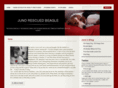 junorescuedbeagle.com