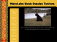 mistylakeblackrussianterriers.com