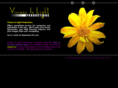 visionsinlight.com
