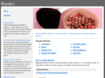 blusher.net