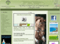 equestriantrainingevents.co.uk
