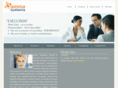 gammasysinc.com