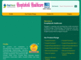 hospitalinstrumentsmanufacturer.com