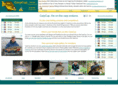 carpcup.com