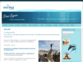 coach-de-vie-pnl.com