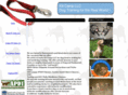 k9campdogtraining.com