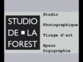 studiodelaforest.com