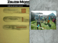 zsuzsimorrison.com