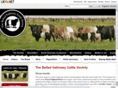 belties.com