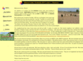 bestminiaturehorses.com