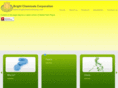 brightchemicalscorp.com