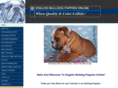 englishbullypuppies.com