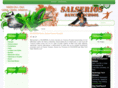 salserios.com