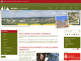 stadt-buchen.de