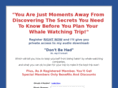 theguidetowhalewatching.com