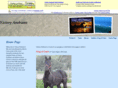 victoryarabians.com