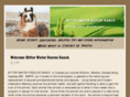 bitterwaterrescueranch.com