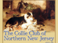 ccnnj.com