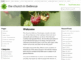 churchinbellevue.com