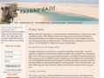 paydayoasis.com