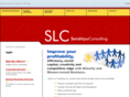 sarahlyuconsulting.com