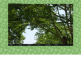 chateauburee.com