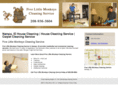 fivelittlemonkeyscleaningservice.com