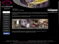 guardiansoftfurnishings.co.uk