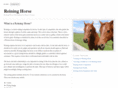 reininghorse.com