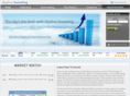 skylineinvesting.com