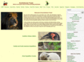 ecoventurestravel.com