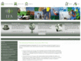 ifa-voice.com