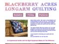 quiltinglongarm.com