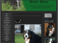 berner-bruno.com