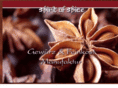 world-of-spice.com