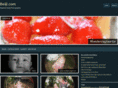 beijl.com