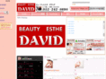 david-lady.com